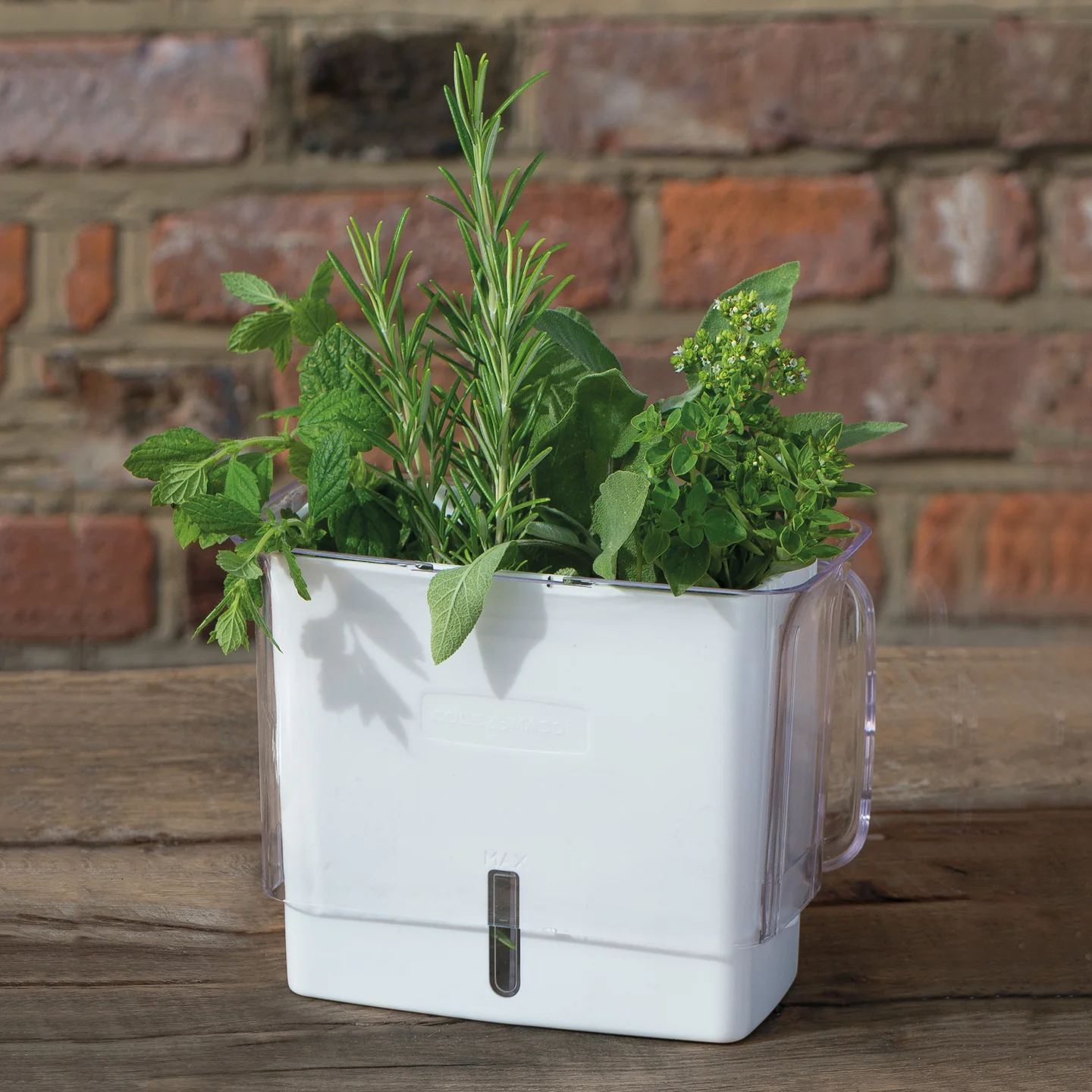 Cole & Mason Tealby Cut Herb Keeper - Image 2