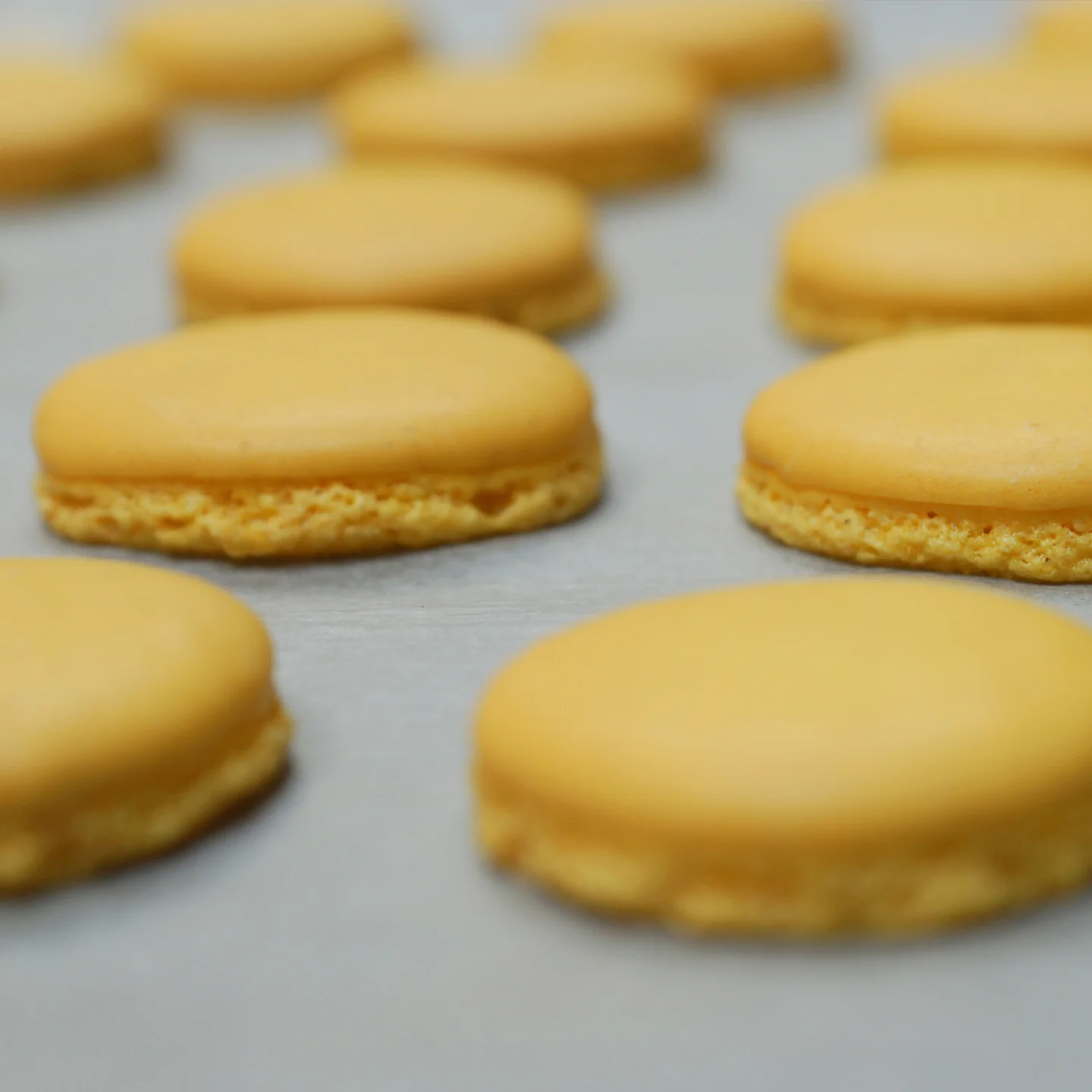 French Macarons Cooking Class - Image 6