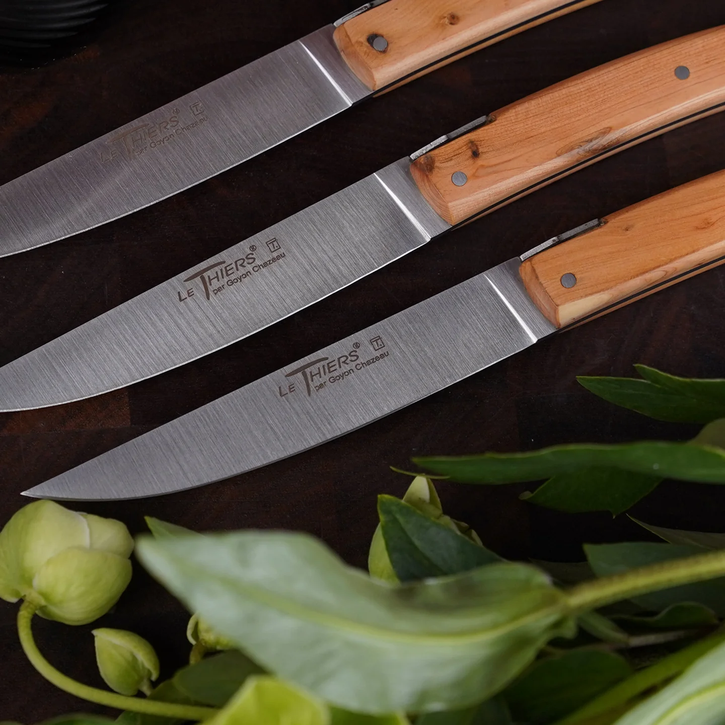 Goyon-Chazeau Le Thiers Brasserie Steak Knife Set / Set of 4 / Juniper - Image 2