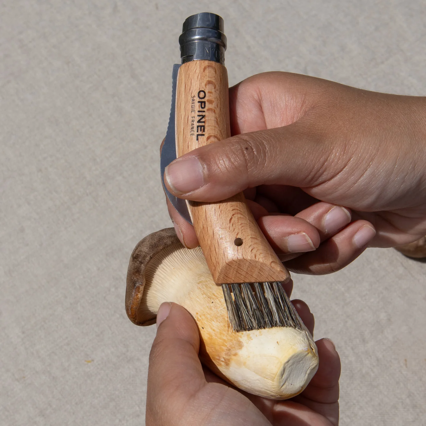 Opinel No. 8 Mushroom Knife - Image 2