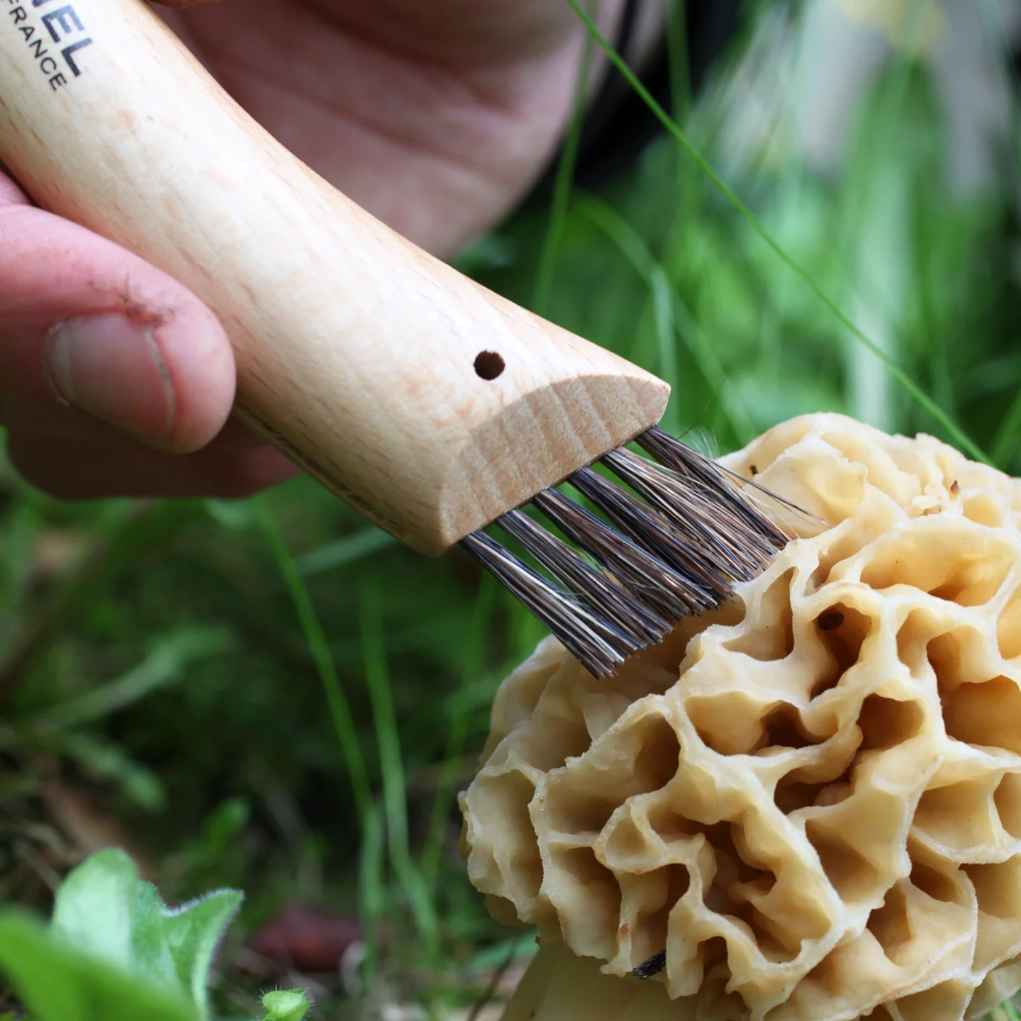Opinel No. 8 Mushroom Knife - Image 3