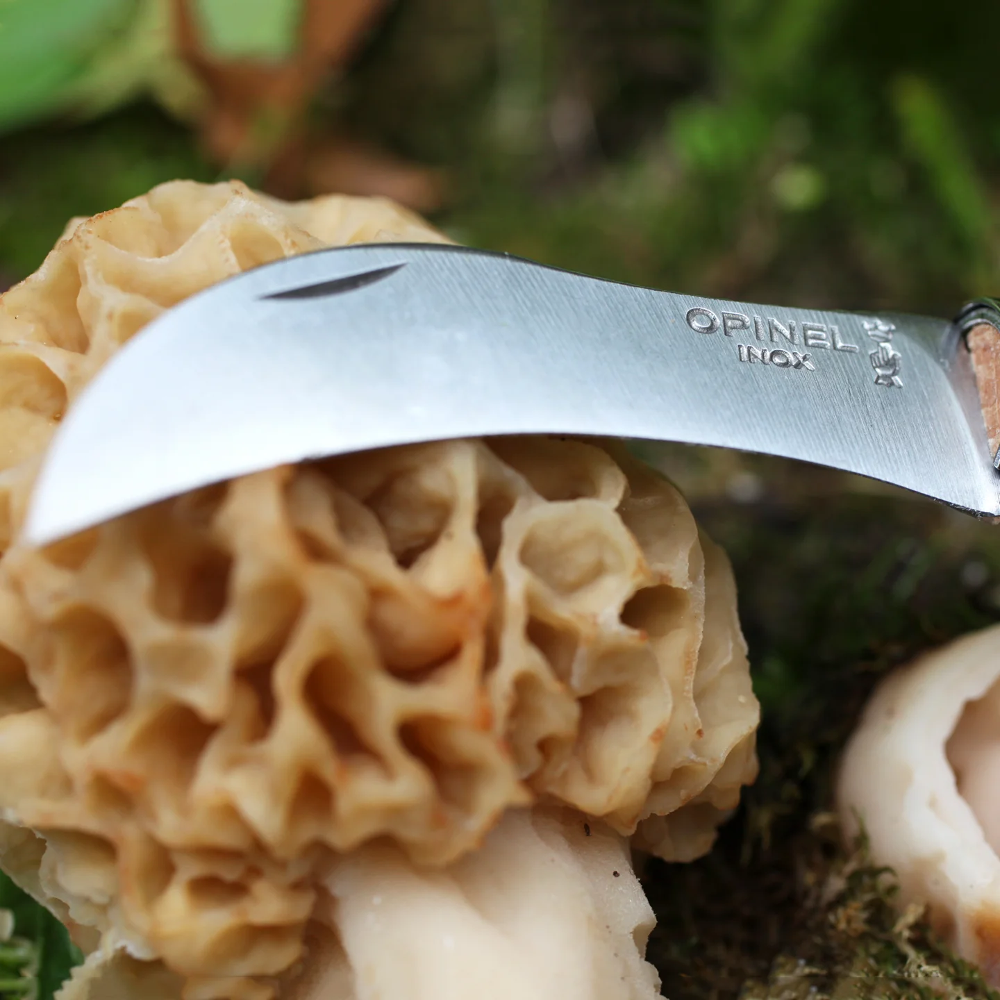 Opinel No. 8 Mushroom Knife - Image 4