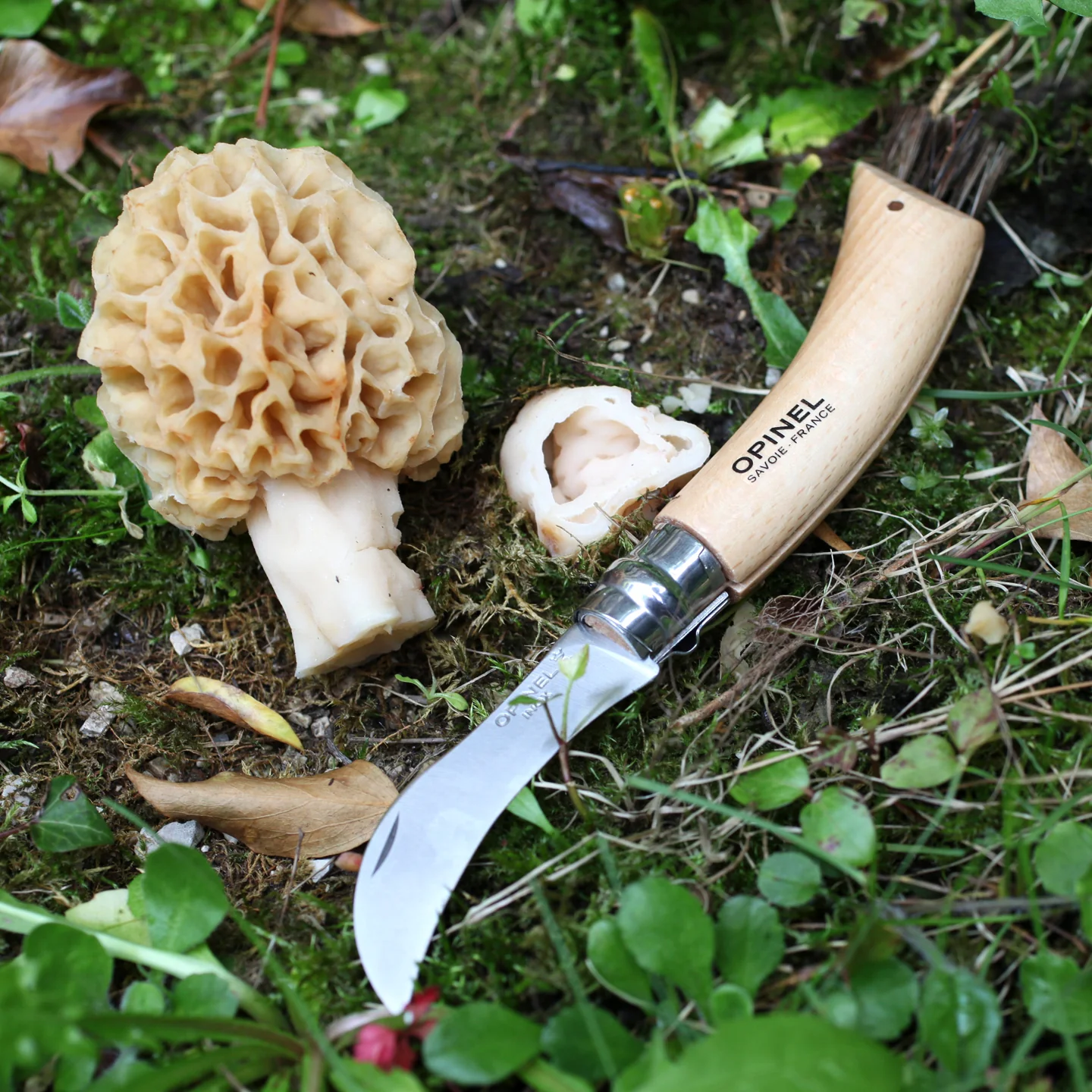Opinel No. 8 Mushroom Knife - Image 6