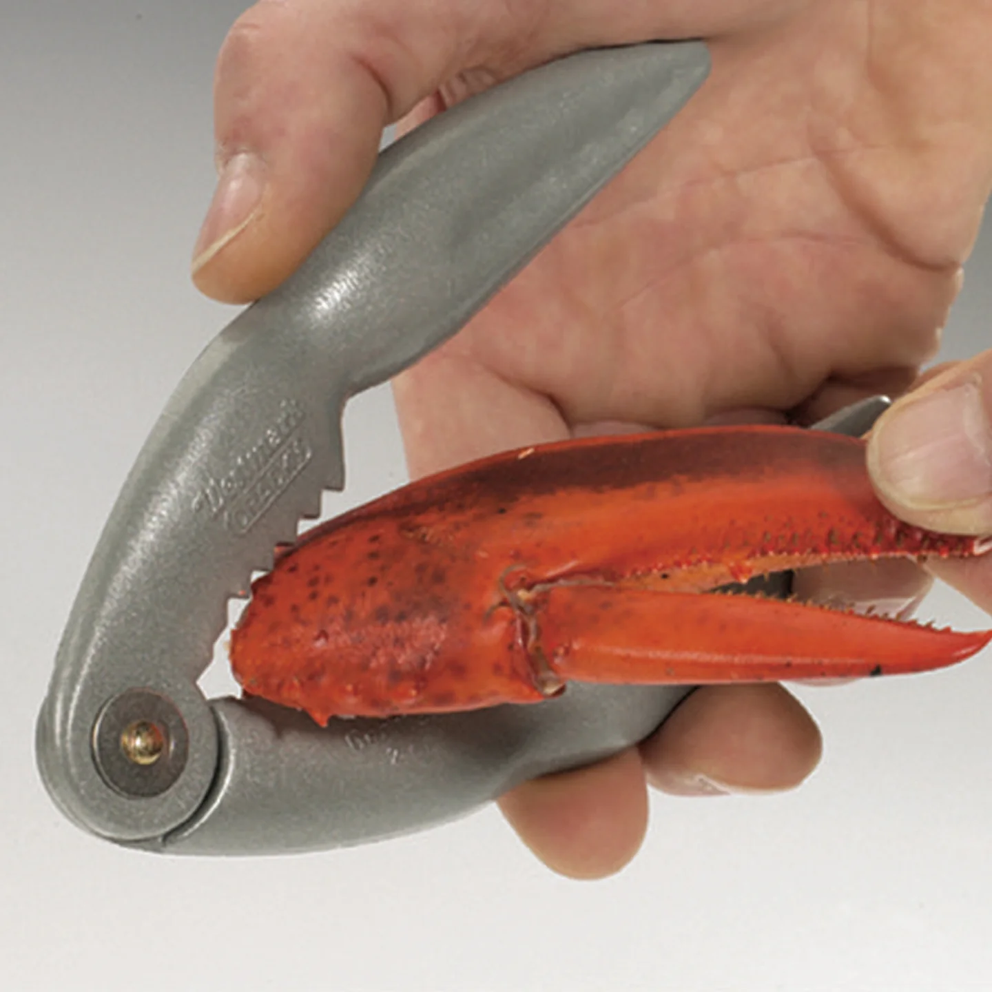 Westmark Cracky Shellfish Cracker - Image 2